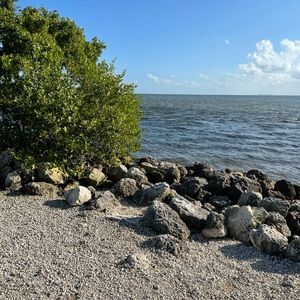 Meet your Posher, Flor